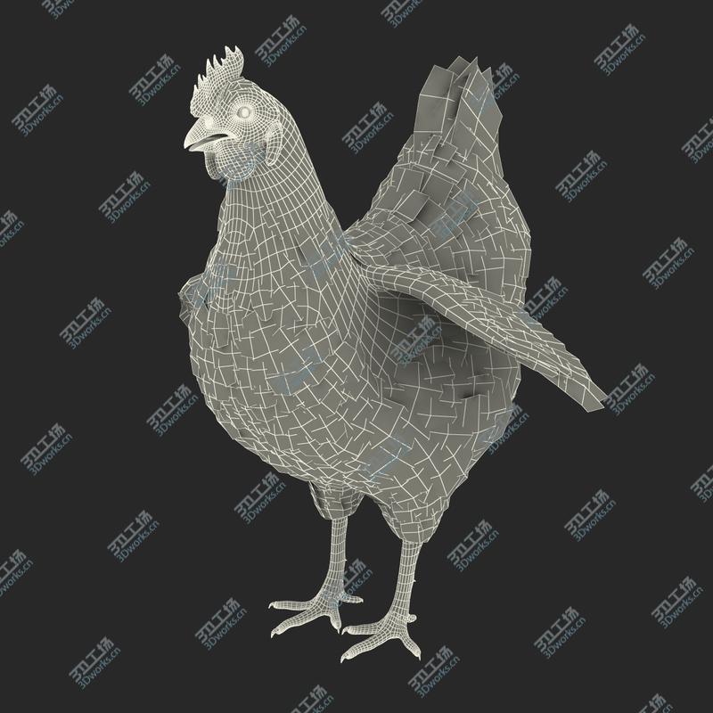 images/goods_img/2021040162/Brown Chicken Rigged for Cinema 4D 3D model/3.jpg